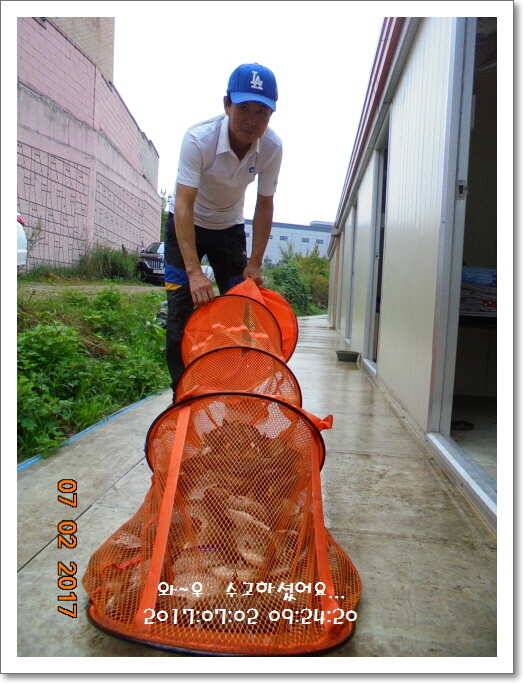 도심속의 작은 쉼터 화성 관리 낚시터입니다굿조황 (유료터정보 - 유료터점주조황)
