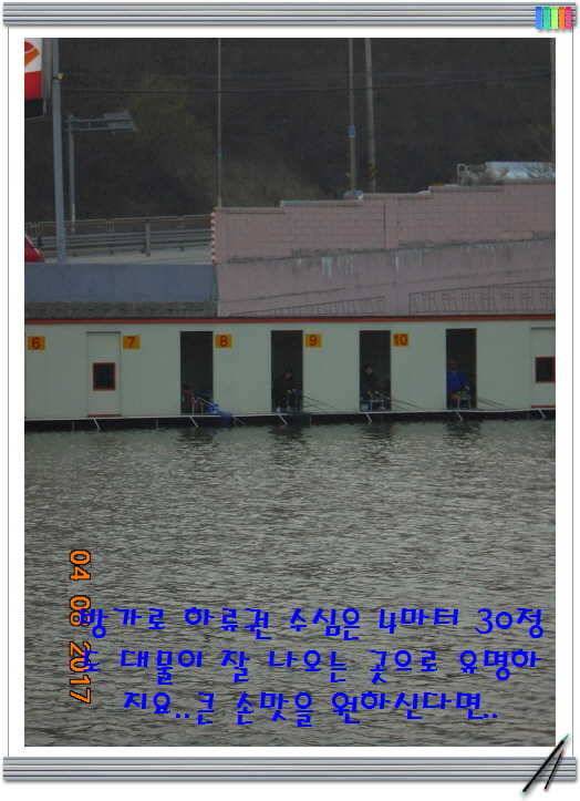 도심속의 작은 쉼터 화성 관리 낚시터입니다어제 못다한 이야기 (유료터정보 - 유료터점주조황)