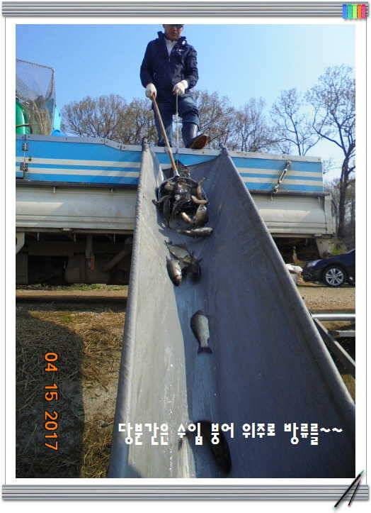 도심속의 작은 쉼터 화성 관리 낚시터입니다 (유료터정보 - 유료터점주조황)