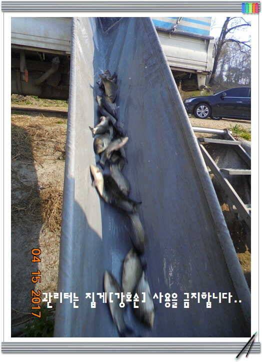 도심속의 작은 쉼터 화성 관리 낚시터입니다 (유료터정보 - 유료터점주조황)