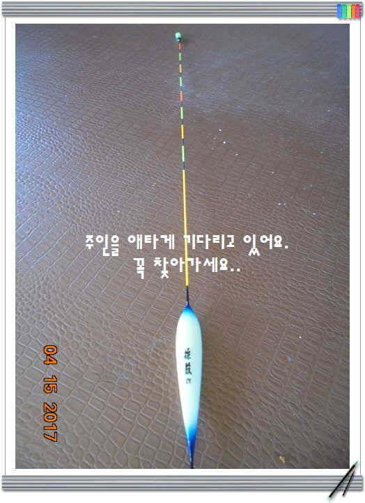 도심속의 작은 쉼터 화성 관리 낚시터입니다 (유료터정보 - 유료터점주조황)