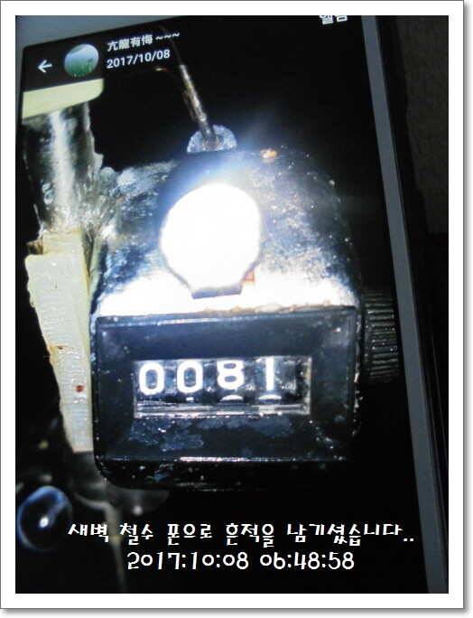 도심속의 작은 쉼터 화성 관리 낚시터입니다좋았습니다 (유료터정보 - 유료터점주조황)