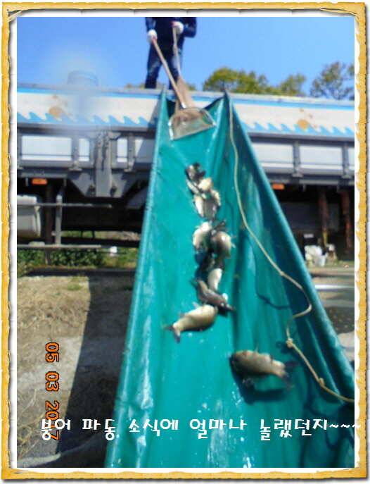 도심속의 작은 쉼터 화성 관리 낚시터입니다 (유료터정보 - 유료터점주조황)