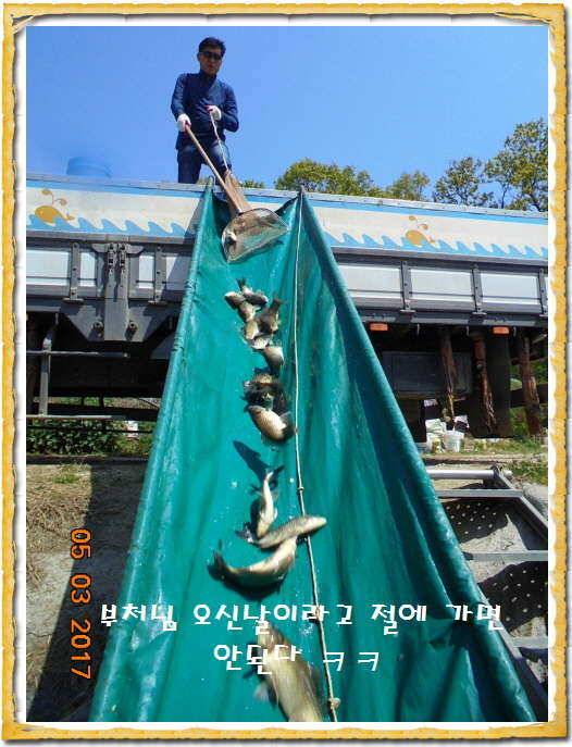 도심속의 작은 쉼터 화성 관리 낚시터입니다 (유료터정보 - 유료터점주조황)