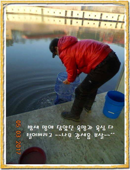 도심속의 작은 쉼터 화성 관리 낚시터입니다 (유료터정보 - 유료터점주조황)