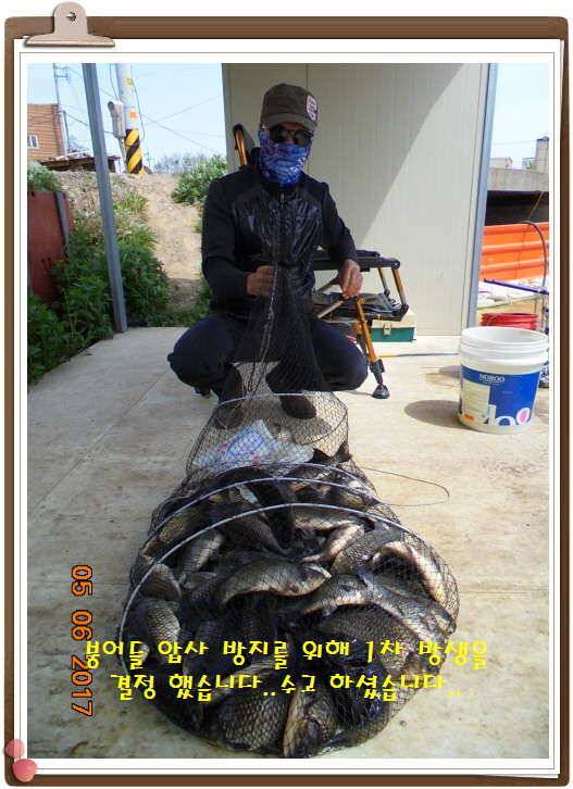 도심속으ㅟ 작은 쉼터 화성 관리 낚시터입니다이 밤도 즐겁게 (유료터정보 - 유료터점주조황)