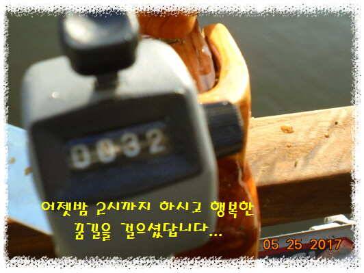도심속의 작은 쉼터 화성 관리 낚시터입니다역시 밤 입니다 (유료터정보 - 유료터점주조황)
