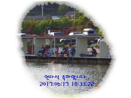 도심속의 작은 쉼터 화성 관리 낚시터입니다5짜급 방류 (유료터정보 - 유료터점주조황)