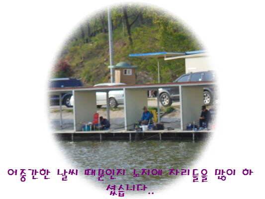 도심속의 작은 쉼터 화성 관리 낚시터입니다 (유료터정보 - 유료터점주조황)