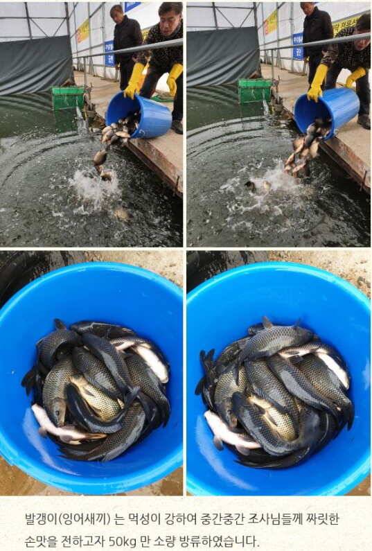 fish_pay_d5bb7_080203_77562.jpg
