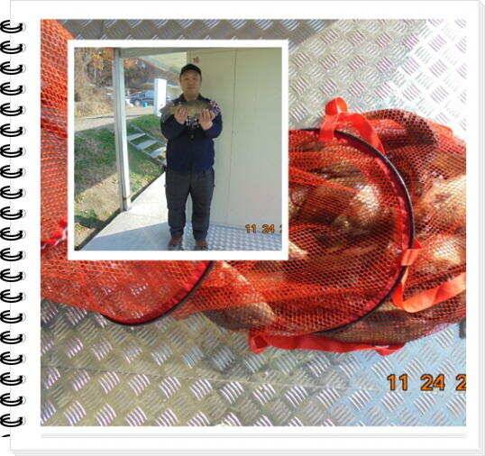 도심속의 작은 쉼터 화성관리낚시터 (유료터정보 - 유료터점주조황)