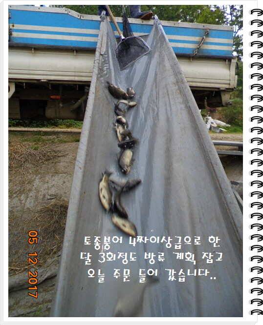 도심속의 작은 쉼터 화성 관리 낚시터입니다대단한 밤의 연속입니다 (유료터정보 - 유료터점주조황)