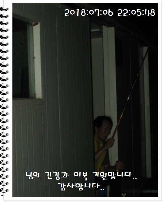 도심속의 작은 쉼터 화성 관리낚시터입니다만석 감사합니다 (유료터정보 - 유료터점주조황)