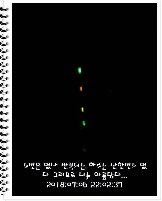 도심속의 작은 쉼터 화성 관리낚시터입니다만석 감사합니다 (유료터정보 - 유료터점주조황)