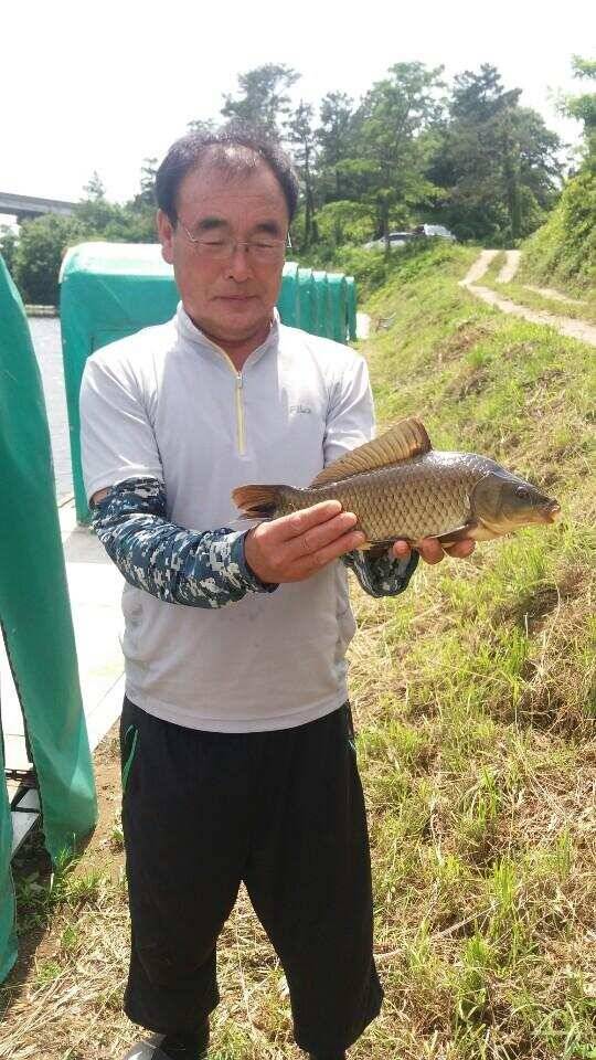 경주 삼괴정 낚시터 0626 방류 및 조황상황 (유료터정보 - 유료터점주조황)