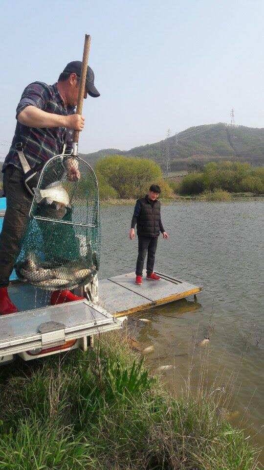 아산 안골지 4짜 소식 입니다 (유료터정보 - 유료터점주조황)