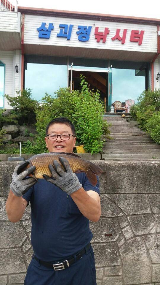 경주삼괴정낚시터 710일 조황상황 (유료터정보 - 유료터점주조황)