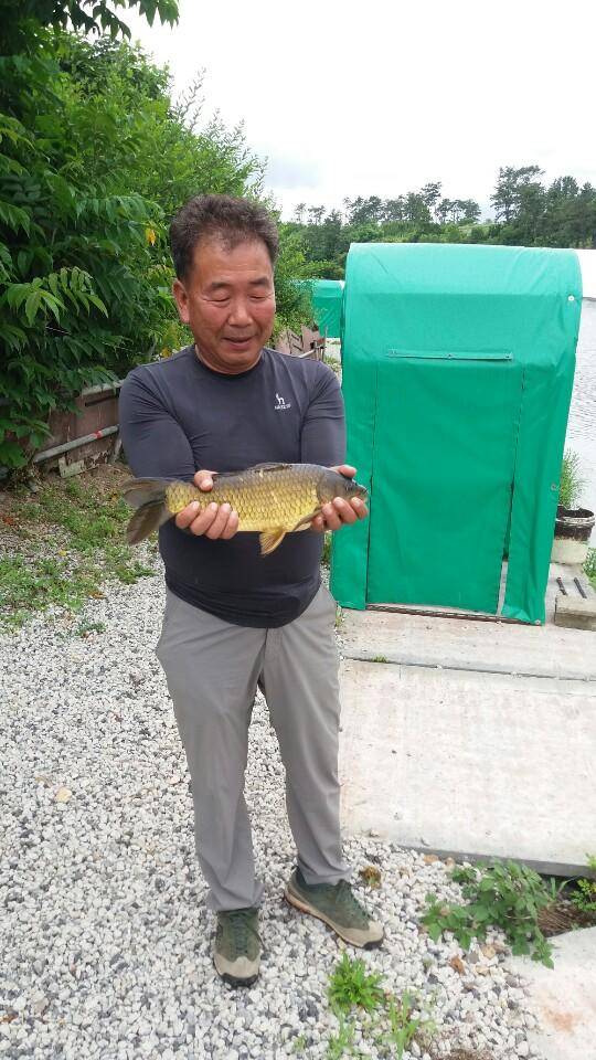 경주 삼괴정낚시터 73 일 주중조과 및 방류붕어 현황 (유료터정보 - 유료터점주조황)