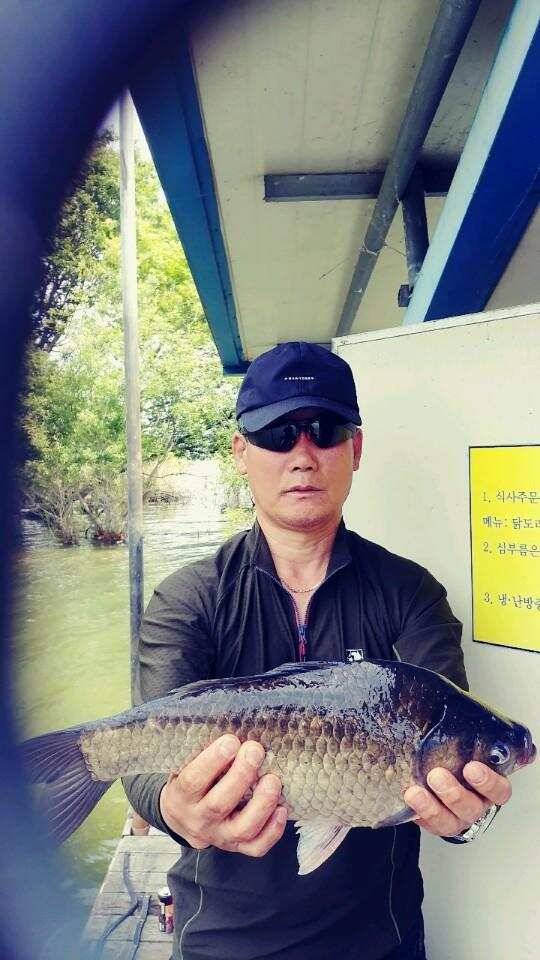 예당저수지 대양좌대 2020년 05월 2223일 금일조황 (유료터정보 - 유료터점주조황)