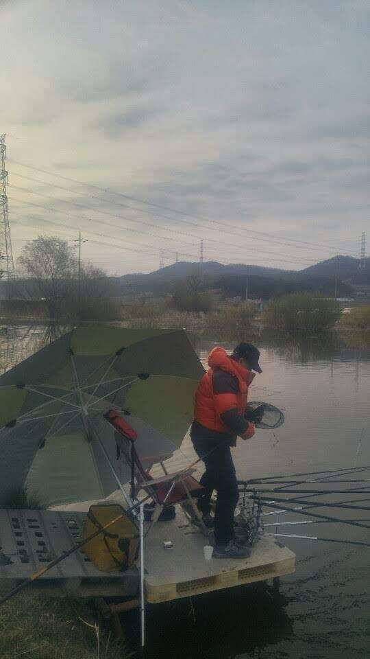 아산 안골지의 맑고 힘찬 붕어입니다 (유료터정보 - 유료터점주조황)