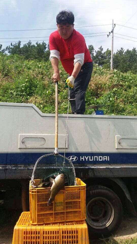 경주 삼괴정 낚시터 0626 방류 및 조황상황 (유료터정보 - 유료터점주조황)