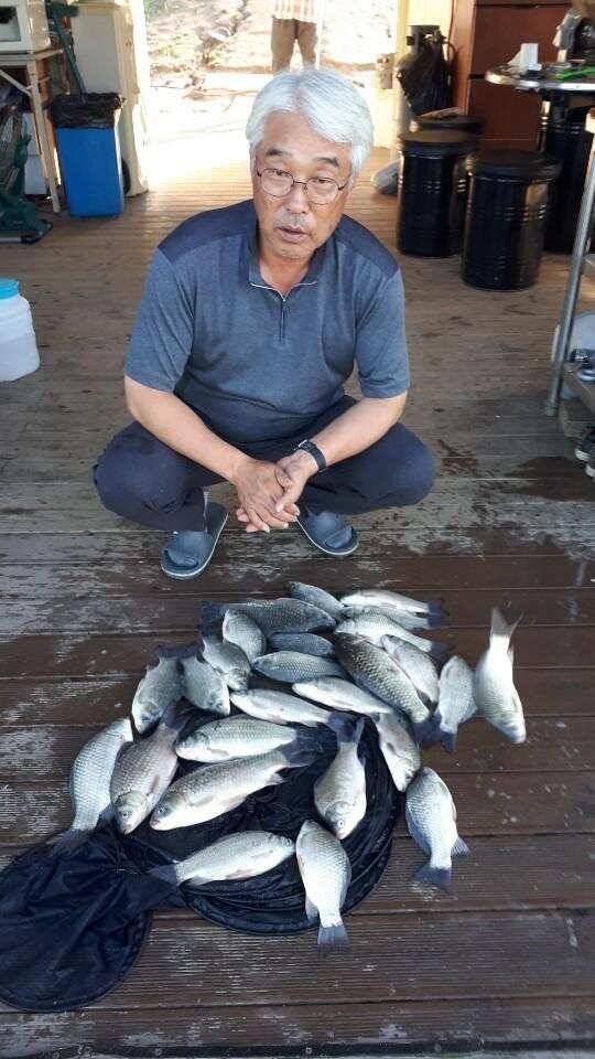 사짜와 마릿수 폭발적인 고삼지 양촌좌대 (유료터정보 - 유료터점주조황)