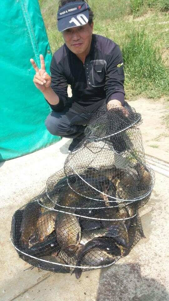 경주 삼괴정낚시터 530일 이번주 조황상황 및 홍보입니다 (유료터정보 - 유료터점주조황)