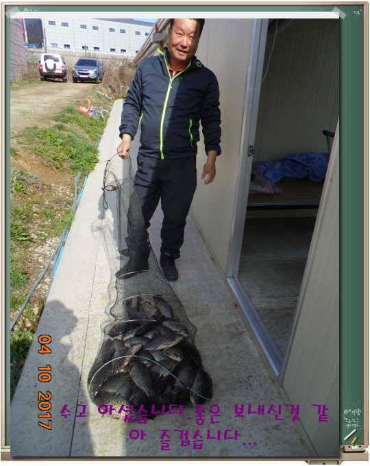 도심속의 작은 쉼터 화성 관리 낚시터입니다좋습니다 (유료터정보 - 유료터점주조황)