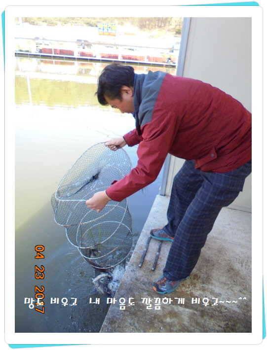 도심속의 작은 쉼터 화성 관리 낚시터입니다 (유료터정보 - 유료터점주조황)