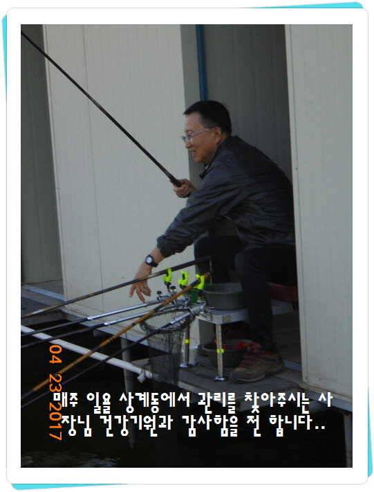 도심속의 작은 쉼터 화성 관리 낚시터입니다 (유료터정보 - 유료터점주조황)