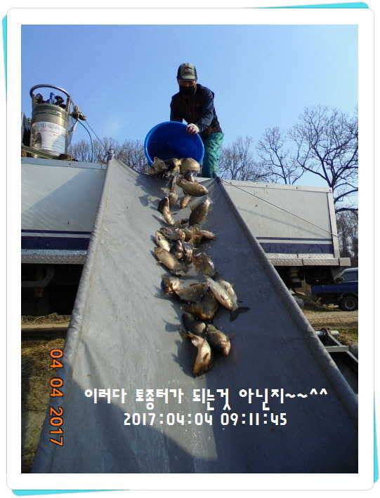 도심속의 작은 쉼터 화성 관리 낚시터입니다 (유료터정보 - 유료터점주조황)