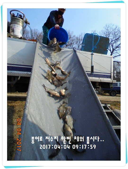 도심속의 작은 쉼터 화성 관리 낚시터입니다 (유료터정보 - 유료터점주조황)