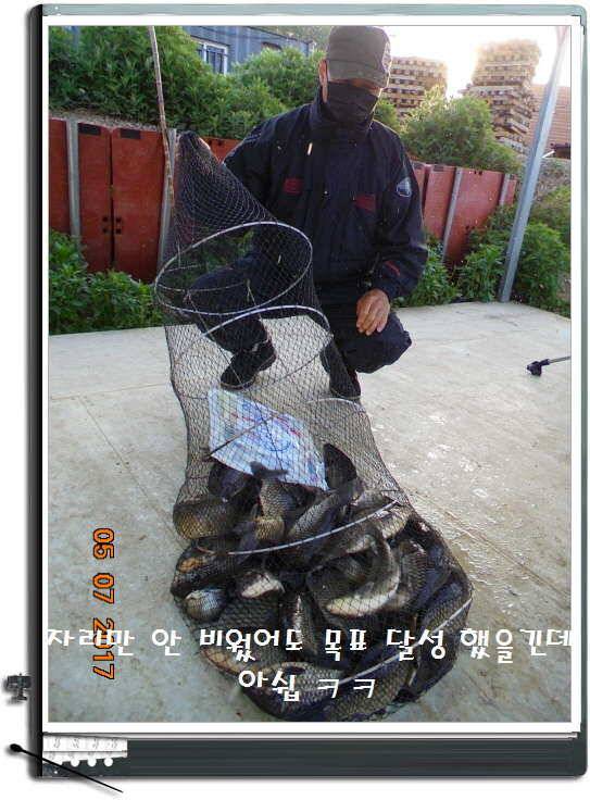 도심속의 작은 쉼터 화성 관리 낚시터입니다즐거움의 연속 (유료터정보 - 유료터점주조황)
