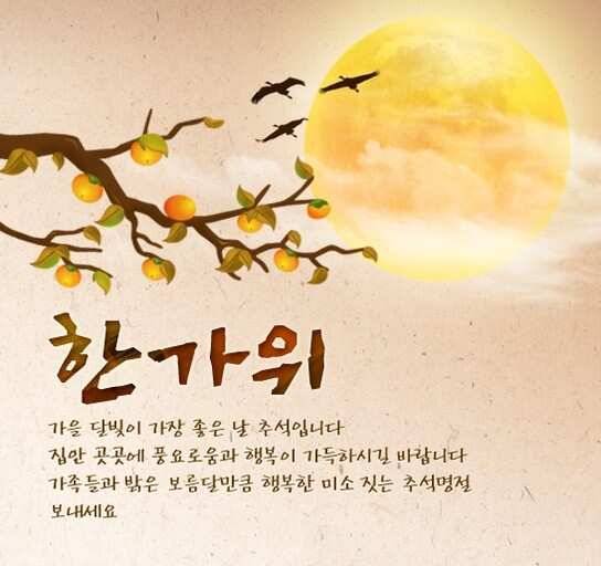비만붕어들 (유료터정보 - 유료터점주조황)