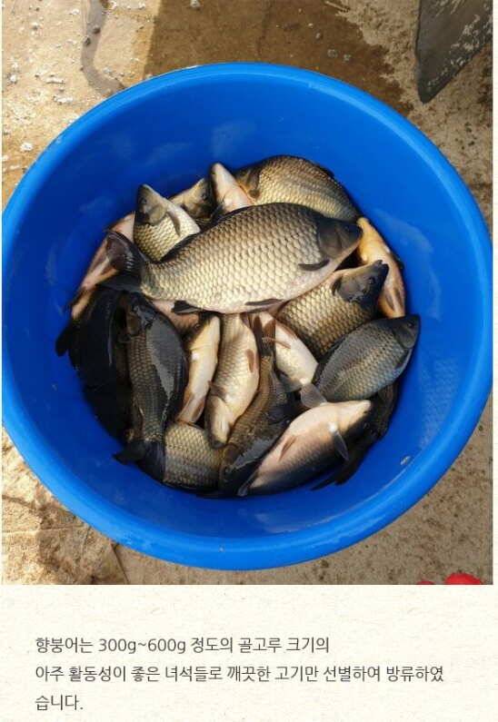 fish_pay_0158d_080153_38869.jpg