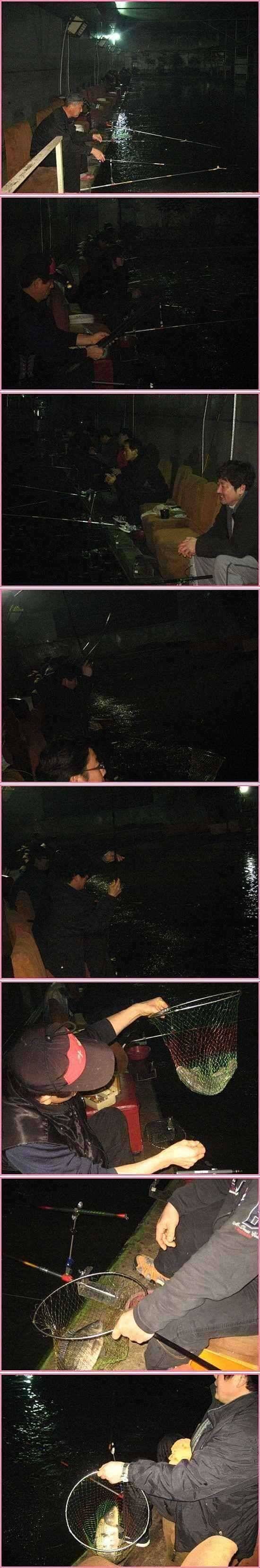 토종붕어랑말뚝잉어랑 (유료터정보 - 유료터점주조황)