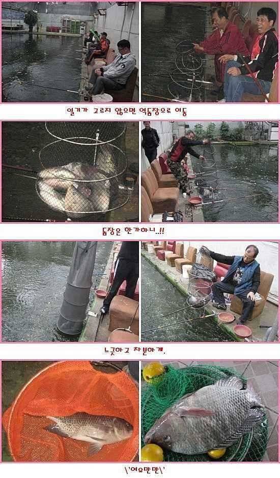쏠릴때 몰빵 (유료터정보 - 유료터점주조황)