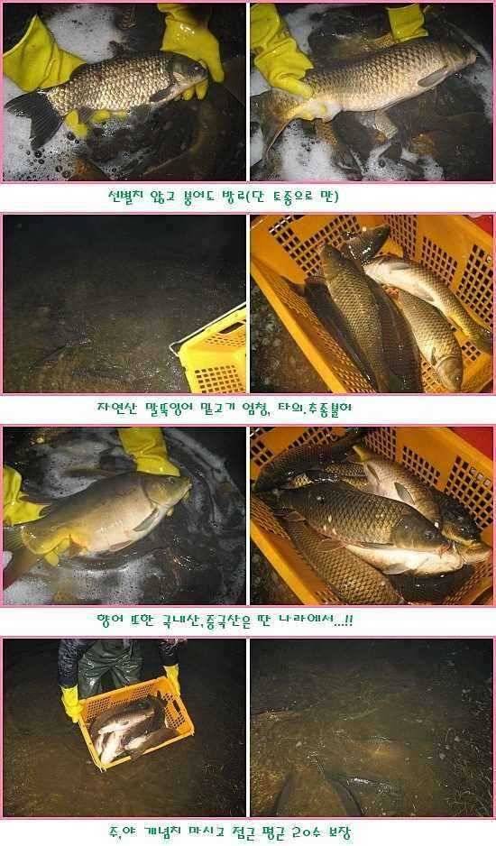 쏠릴때 몰빵 (유료터정보 - 유료터점주조황)