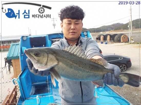 3월28일어심바다낚시터조황 (유료터정보 - 유료터점주조황)