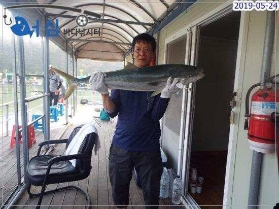 5월24일 어심바다낚시터조황 (유료터정보 - 유료터점주조황)