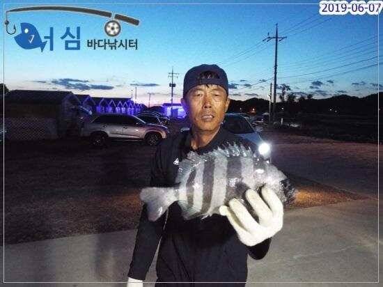 6월7일 어심바다낚시터조황 (유료터정보 - 유료터점주조황)