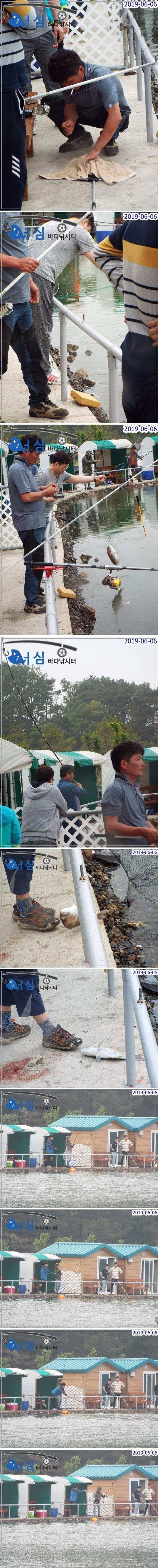 6월6일 어심바다낚시터조황 (유료터정보 - 유료터점주조황)