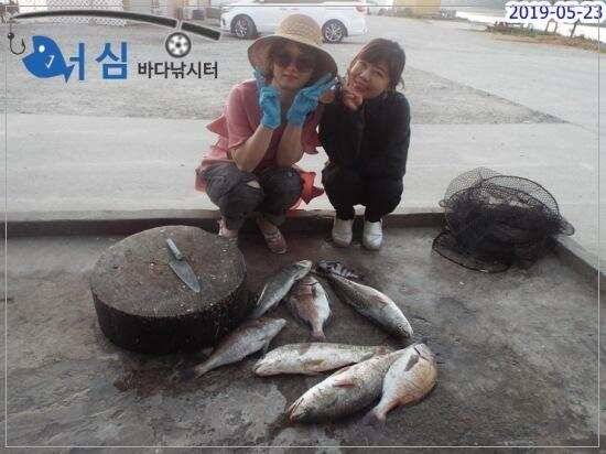5월23일어심바다낚시터조황 (유료터정보 - 유료터점주조황)