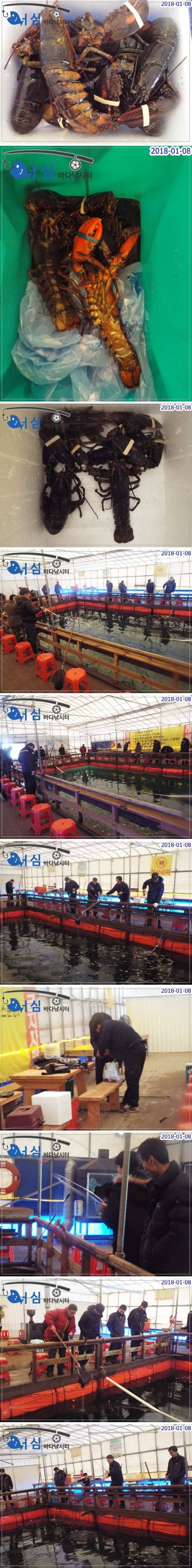 1월08일 어심바다낚시터조황 (유료터정보 - 유료터점주조황)