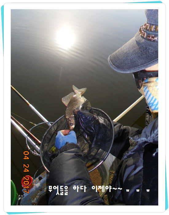 도심속의 작은 쉼터 화성 관리 낚시터입니다 (유료터정보 - 유료터점주조황)