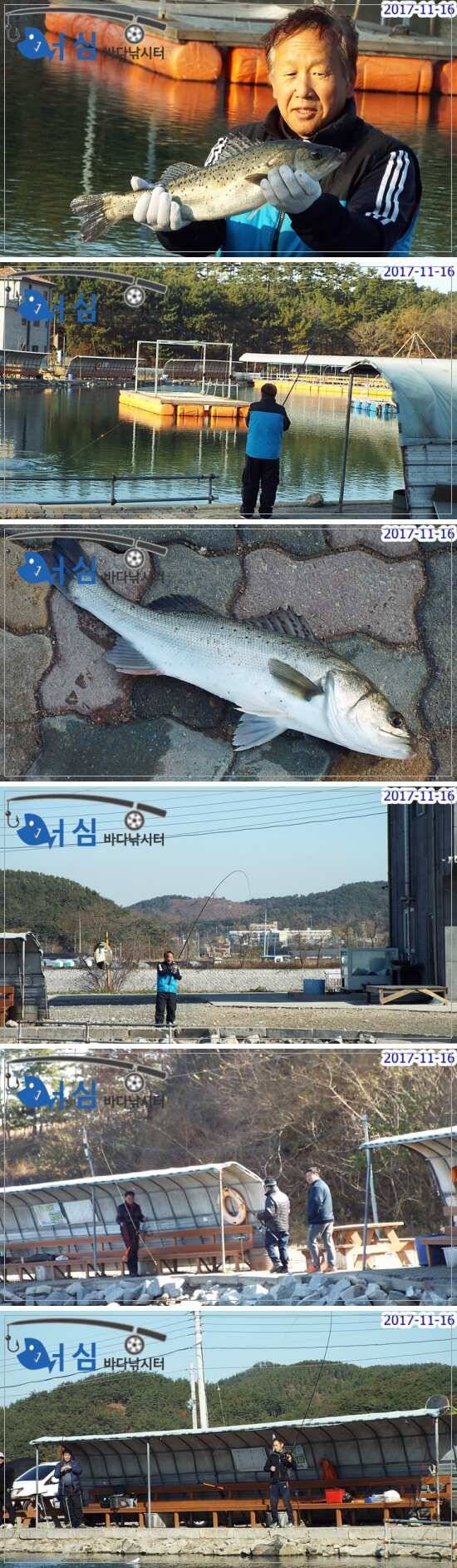 개장이틀전11월16일어심바다낚시터조황 (유료터정보 - 유료터점주조황)