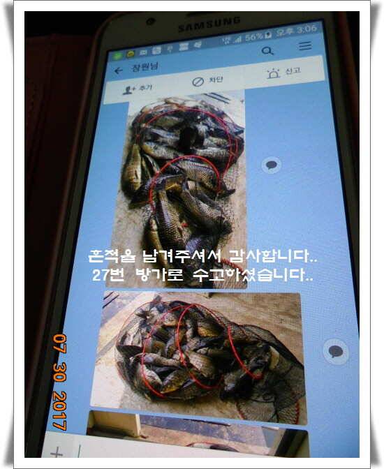 도심속의 작은 쉼터 화성 관리 낚시터입니다핫 한 낚시터 관리 (유료터정보 - 유료터점주조황)