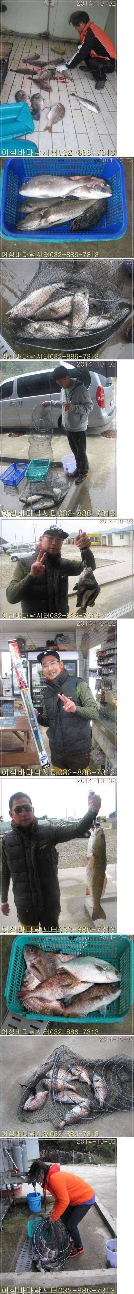 10월 2일 어심바다낚시터 조황사진 (유료터정보 - 유료터점주조황)