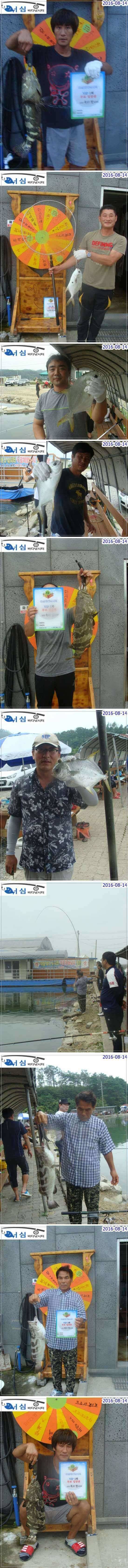 8월 14일 어심바다낚시터 조황사진 (유료터정보 - 유료터점주조황)