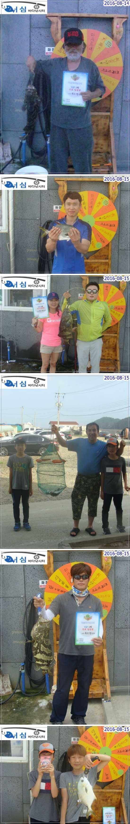 8월 15일 어심바다낚시터 조황사진 (유료터정보 - 유료터점주조황)
